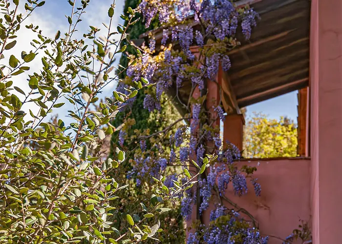 Agriturismo Settesoldi San Miniato